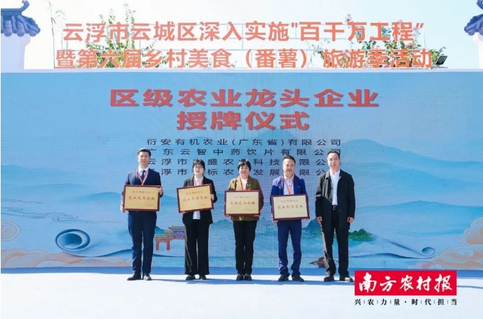 喜訊！衍安獲評云浮市云